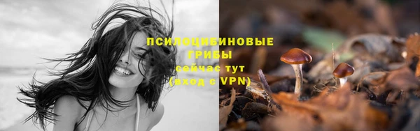 гашиш Алексеевка