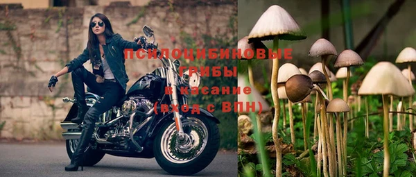 шишки Алексин